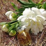 عطر ادکلن کالِش سُوا د پارفوم ارمِس - Caleche Soie de Parfum Hermès - بررسی، قیمت و خرید