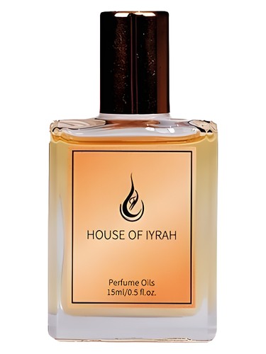 عطر ادکلن آبسیدین هاوس آو ایراه - Obsidian House of Iyrah - بررسی، قیمت و خرید