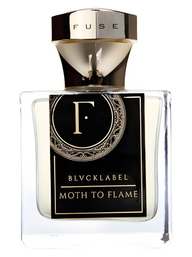 عطر ادکلن ماث تو فلیم فیوز - Moth To Flame Fuse - بررسی، قیمت و خرید