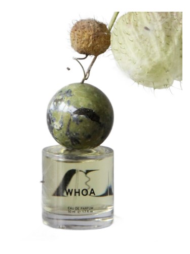 عطر ادکلن وُو فرانکلی - Whoa Frankly - بررسی، قیمت و خرید