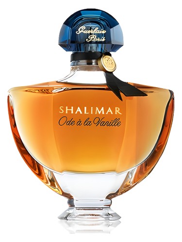 عطر ادکلن شالیمار او د لا وانیل گرلن - Shalimar Ode a la Vanille Guerlain - بررسی، قیمت و خرید