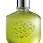عطر ادکلن دی‌کی‌ان‌وای بی دلیشس پیکنیک این د پارک فور وومن دانا کارن - DKNY Be Delicious Picnic in the Park for Women Donna Karan - بررسی، قیمت و خرید