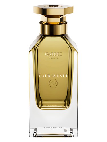 عطر ادکلن گلَب اَونیو گلبی - Galb Avenue Galbee - بررسی، قیمت و خرید