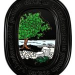 عطر ادکلن فیلوسیکوس سالید پرفیوم دیپتیک - Philosykos Solid Perfume Diptyque - بررسی، قیمت و خرید
