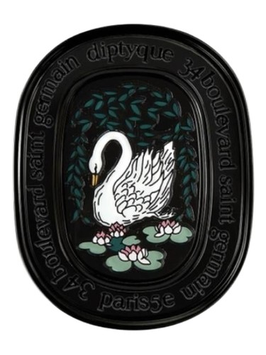 عطر ادکلن لونبردانلو دیپتیک - L'Ombre dans l'Eau Solid Perfume Diptyque - بررسی، قیمت و خرید