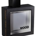 عطر ادکلن هی وود سیلور ویند وود دسکوارد - He Wood Silver Wind Wood DSQUARED² - بررسی، قیمت و خرید