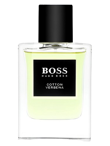 عطر ادکلن باس د کالکشن کاتن اند وربنا هوگو بوس - BOSS The Collection Cotton & Verbena Hugo Boss - بررسی، قیمت و خرید