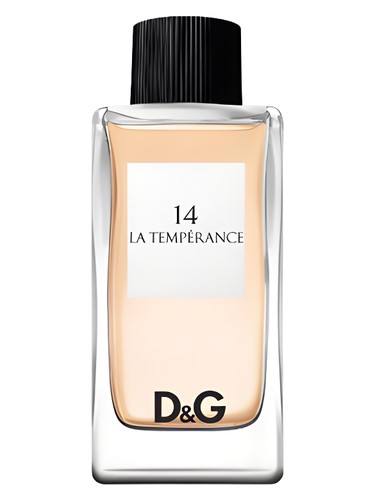 عطر ادکلن دی اند جی آنتولوجی لا تمپرنس ۱۴ دولچه گابانا - D&G Anthology La Temperance 14 Dolce&Gabbana - بررسی، قیمت و خرید