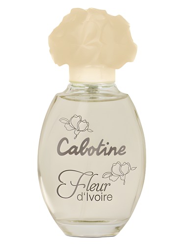 عطر ادکلن کابوتین فلور دیوآر گرس - Cabotine Fleur d’Ivoire Grès - بررسی، قیمت و خرید