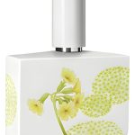 عطر ادکلن باسک لیمیتد پورسلین ادیشن هومیچی و گریف - Bosque Limited Porcelain Edition Humiecki & Graef - بررسی، قیمت و خرید