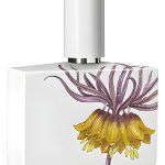عطر ادکلن کلمانسی لیمیتد پورسلین ادیشن هیومیکی و گراف - Clemency Limited Porcelain Edition Humiecki & Graef - بررسی، قیمت و خرید