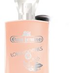 عطر ادکلن لاو اند فان اوجون - Love & Fun Eau Jeune - بررسی، قیمت و خرید