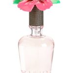 عطر ادکلن سیدی هالیستر - Sadie Hollister - بررسی، قیمت و خرید