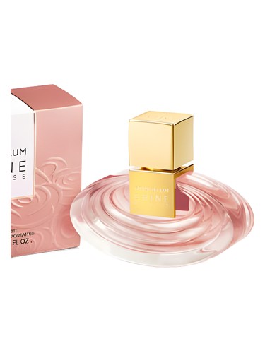 عطر ادکلن شاین مای رز هایدی کلوم - Shine My Rose Heidi Klum - بررسی، قیمت و خرید
