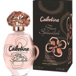 عطر ادکلن کبوتین فلور اسپلندید گِرِس - Cabotine Fleur Splendide Grès - بررسی، قیمت و خرید