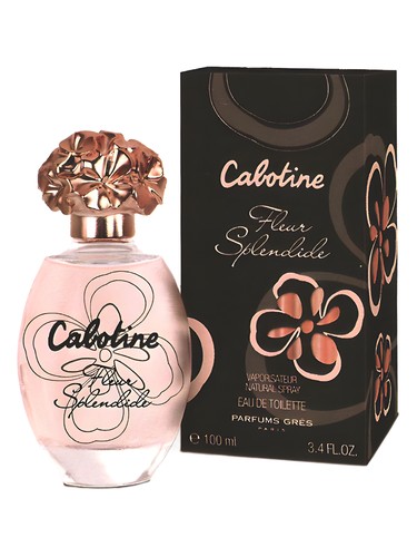 عطر ادکلن کبوتین فلور اسپلندید گِرِس - Cabotine Fleur Splendide Grès - بررسی، قیمت و خرید