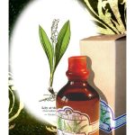 عطر ادکلن موگه فراگریفرت پرفیومر - Muguet Fragrifert Parfumeur - بررسی، قیمت و خرید