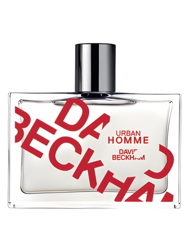 عطر ادکلن اوربن هوم دیوید بکهام - Urban Homme David Beckham - بررسی، قیمت و خرید