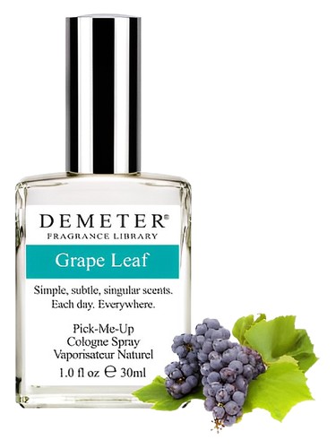 عطر ادکلن دلمه برگ مو دی متر فرگرنس - Grape Leaf Demeter Fragrance - بررسی، قیمت و خرید