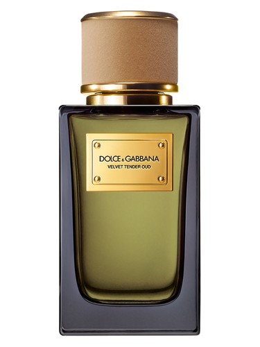 عطر ادکلن ولوت تندر عود دولچه گابانا - Velvet Tender Oud Dolce&Gabbana - بررسی، قیمت و خرید