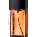عطر ادکلن کروزر فابرلیک - Cruiser Faberlic - بررسی، قیمت و خرید