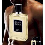 عطر ادکلن بلک پلاتینیوم دینا کازمتیکس - Black Platinium Dina Cosmetics - بررسی، قیمت و خرید