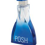 عطر ادکلن پوش هوم دینا کازمتیکز - Posh Homme Dina Cosmetics - بررسی، قیمت و خرید