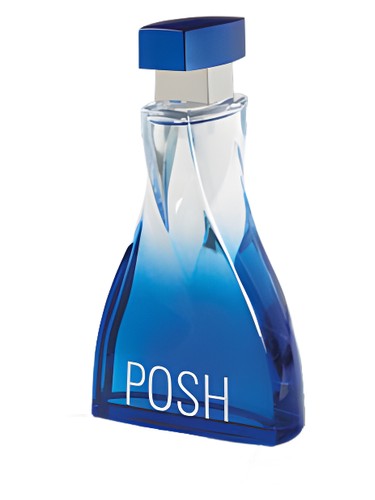 عطر ادکلن پوش هوم دینا کازمتیکز - Posh Homme Dina Cosmetics - بررسی، قیمت و خرید
