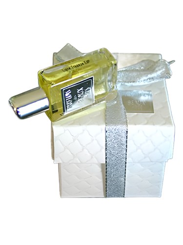 عطر ادکلن لین تراپز دی اس اچ پرفیومز - Ligne Trapéze DSH Perfumes - بررسی، قیمت و خرید