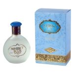 عطر ادکلن وی.سکی بلو اوافلور - Whisky Blue Evaflor - بررسی، قیمت و خرید