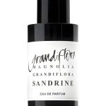 عطر ادکلن مگنولیا گرندیفلورا سندرین گرندیفلورا - Magnolia Grandiflora Sandrine Grandiflora - بررسی، قیمت و خرید