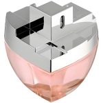 عطر ادکلن دی کی ان وای مای نی دانا کارن - DKNY My NY Donna Karan - بررسی، قیمت و خرید