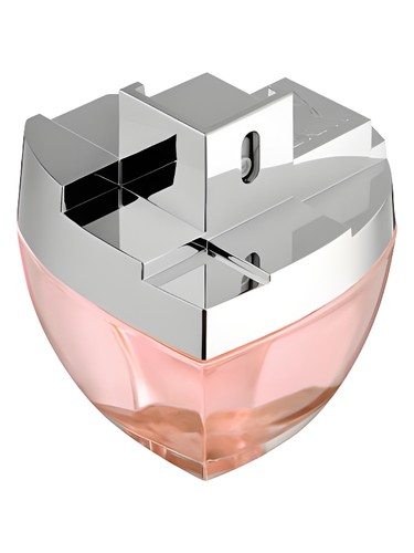 عطر ادکلن دی کی ان وای مای نی دانا کارن - DKNY My NY Donna Karan - بررسی، قیمت و خرید