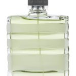 عطر ادکلن وتیور فروزن فراگرنس گرلن - Vetiver Frozen Fragrance Guerlain - بررسی، قیمت و خرید