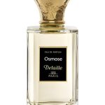 عطر ادکلن اوسموز دیتیل - Osmose Detaille - بررسی، قیمت و خرید