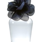 عطر ادکلن ادیسون هالیستر - Addison Hollister - بررسی، قیمت و خرید