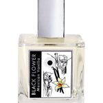 عطر ادکلن بلک فلاور مکزیکن وانیلا دام پرفیومری - Black Flower Mexican Vanilla Dame Perfumery - بررسی، قیمت و خرید