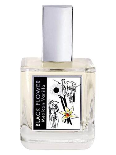 عطر ادکلن بلک فلاور مکزیکن وانیلا دام پرفیومری - Black Flower Mexican Vanilla Dame Perfumery - بررسی، قیمت و خرید