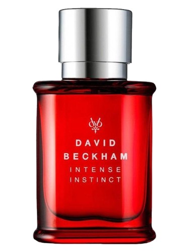 عطر ادکلن این تِنس اینستینکت دیوید بکهام - Intense Instinct David Beckham - بررسی، قیمت و خرید