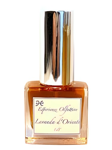 عطر ادکلن لاواندا دورینته اسپریینزه اولفکتیوه - Lavanda d'Oriente Esperienze Olfattive - بررسی، قیمت و خرید