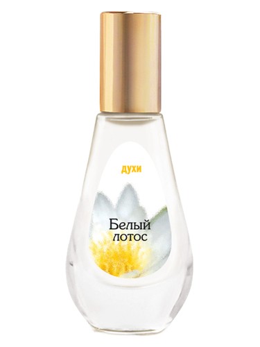 عطر ادکلن بلی لوتوس دیلیس پرفیوم - Bely Lotos Dilís Parfum - بررسی، قیمت و خرید