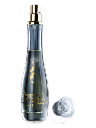 عطر ادکلن رز دو پرووانس فراگرنسز آو واین - Rose de Provence Fragrances of Wine - بررسی، قیمت و خرید