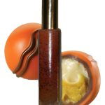 عطر ادکلن پلی‌روخو پیکانته هاوت پارفومز - Pelirrojo Picante Haught Parfums - بررسی، قیمت و خرید