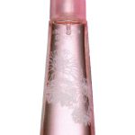 عطر ادکلن نیچرز وینتر فلاری فلور د سانته - Natures Winter Flurry Fleur de Sante - بررسی، قیمت و خرید
