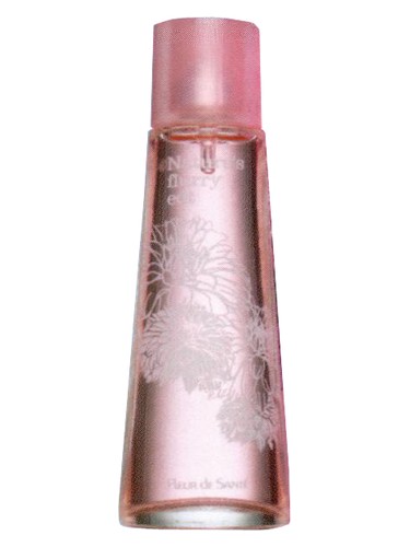 عطر ادکلن نیچرز وینتر فلاری فلور د سانته - Natures Winter Flurry Fleur de Sante - بررسی، قیمت و خرید