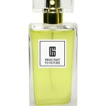 عطر ادکلن فرام پست تو فیوچر جی پارفومز - From Past to Future G Parfums - بررسی، قیمت و خرید