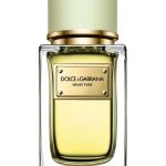 عطر ادکلن ولوت پیور دولچه گابانا - Velvet Pure Dolce&Gabbana - بررسی، قیمت و خرید