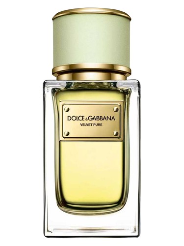 عطر ادکلن ولوت پیور دولچه گابانا - Velvet Pure Dolce&Gabbana - بررسی، قیمت و خرید