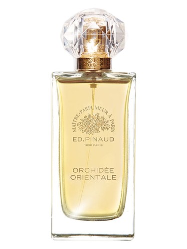 عطر ادکلن اورکیده اورینتال اد پینود - Orchidée Orientale Ed Pinaud - بررسی، قیمت و خرید