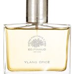 عطر ادکلن یلانگ اپیسه اد پیناود - Ylang Épice Ed Pinaud - بررسی، قیمت و خرید